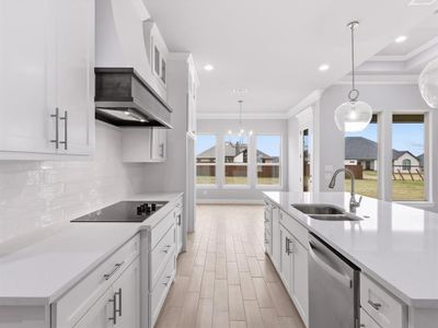 New construction Single-Family house 2005 Middlewood Cir, Granbury, TX 76049 - image 12