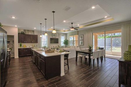 On Top of the World Communities by Colen Built Development, LLC in Ocala - photo 42 42