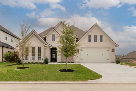 New construction Single-Family house 10299 Winnie Ct, Bryan, TX 77808 plan The Courtney - image