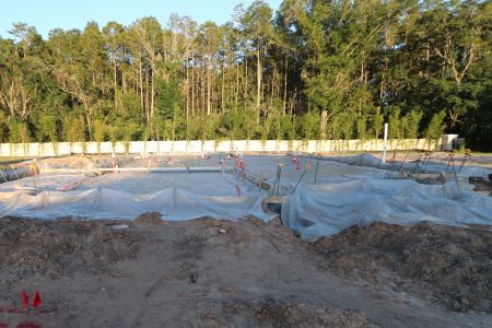 New construction Single-Family house 20339 Oriana Loop, Land O' Lakes, FL 34638 Newport II- photo 4 4