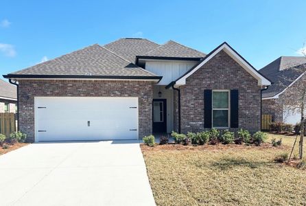 Bird Song at Hammock Bay by DSLD Homes in Freeport - image 15