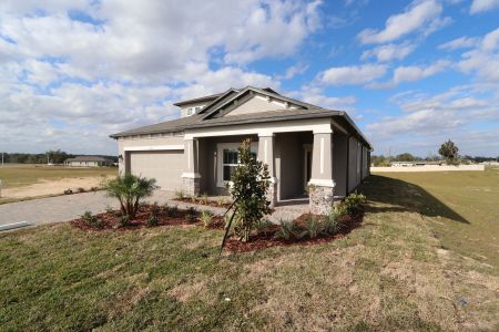 New construction Single-Family house 38357 Palomino Dr, Dade City, FL 33525 Picasso Bonus- photo 48 48