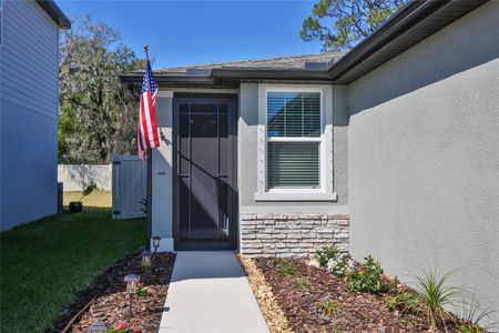 New construction Single-Family house 7321 Boggy Creek Pl, Parrish, FL 34219 Denali- photo 4 4