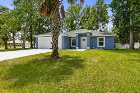 New construction Single-Family house 28 Woodston Ln, Palm Coast, FL 32164 - image