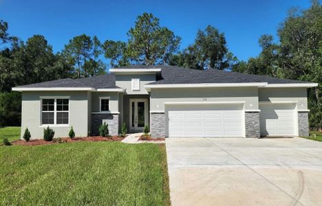 New construction Single-Family house 34 Wild Olive Ct, Homosassa, FL 34446 plan Neptune - image
