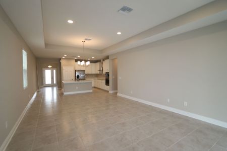 New construction Single-Family house 4763 Beachrose Way, Lakeland, FL 33811 Picasso- photo 63 63