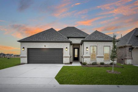 New construction Single-Family house 217 Raveena Blvd, Justin, TX 76247 plan Carmina - image