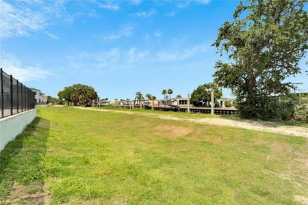 New construction Single-Family house 6542 Simone Shores Circle, Apollo Beach, FL 33572 - photo 60 60