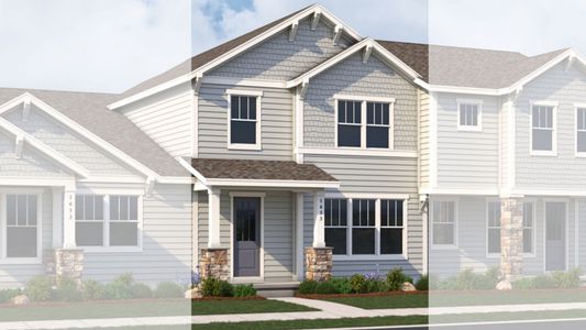 Westerly - Townhomes by Brightland Homes in Erie - image 9