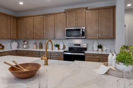 New construction Single-Family house 2146 Town Pasture Dr, Eustis, FL 32726 plan Sims - image 15