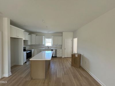 New construction Single-Family house 317 Creeks Edge Dr, Pikeville, NC 27863 - image