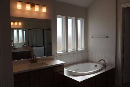 New construction Single-Family house 1328 Tahonta Rd, Hewitt, TX 76643 plan Alexander - image 9