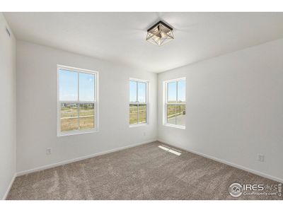 New construction Duplex house 176 Washington St, Erie, CO 80516 Villa Series Sycamore - photo 11 11