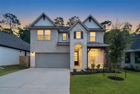 New construction Single-Family house 2035 Forest Stream Wy, Conroe, TX 77304 plan Meridian - image