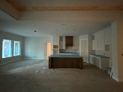 New construction Single-Family house 1230 Julian Dr, Van Alstyne, TX 75495 Cedar Sage- photo 24 24