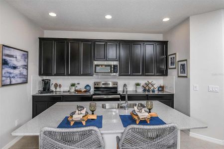 New construction Townhouse house 1455 Alston Bay Blvd, Apopka, FL 32703 null- photo 9 9