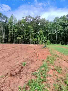 New construction Single-Family house 1 Wisteria Ln, Williamson, GA 30292 - image