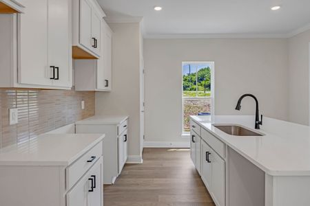 New construction Single-Family house 411 Penfold Aly, Unit 480A, Nolensville, TN 37135 plan Westbrook - image 7