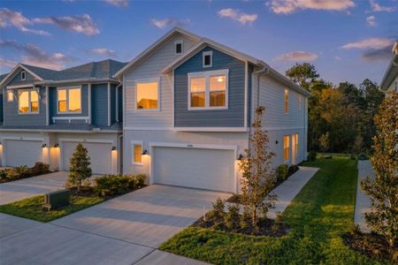 New construction Townhouse house 17240 Balance Cv, Land O' Lakes, FL 34638 - image