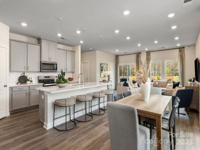 New construction Townhouse house 4301 Summit Woods Dr, Charlotte, NC 28216 null- photo 8 8