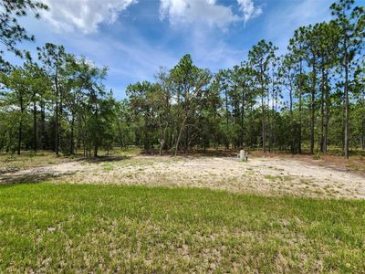 New construction Single-Family house 24780 Nw Hillsdale Ave, Dunnellon, FL 34431 - image 7