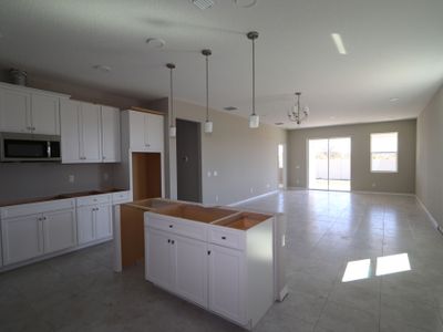 New construction Single-Family house 3142 Adams Cross Dr, Zephyrhills, FL 33540 Picasso- photo 88 88