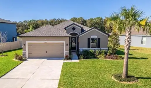 New construction Single-Family house 2325 Wise River Ln, Zephyrhills, FL 33541 plan 50' Sweetwater - image