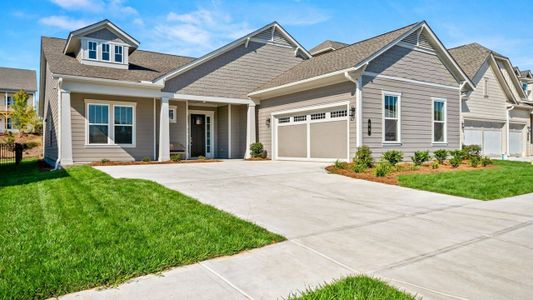 New construction Single-Family house 68 Ballyfin Wy, Newnan, GA 30263 plan Riley - image