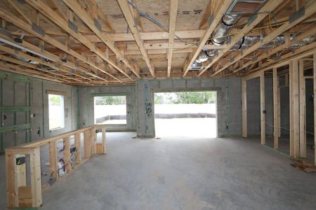 New construction Single-Family house 12146 Hilltop Farms Dr, Dade City, FL 33525 Cabo- photo 37 37