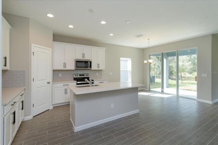 New construction Single-Family house 905 Chasetree Ln, St. Cloud, FL 34771 Mulberry- photo 4 4