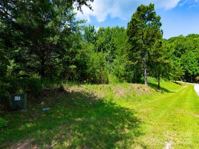 New construction Single-Family house 142 Elkton Ct, Mill Spring, NC 28756 - image 9