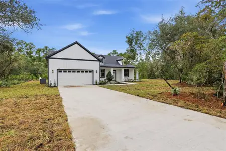 New construction Single-Family house 41325 Royal Trails Rd, Eustis, FL 32726 - image