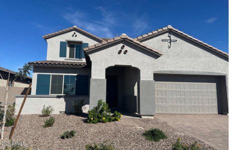New construction Single-Family house 43499 N Wollemi St, Queen Creek, AZ 85140 plan 4504 - image