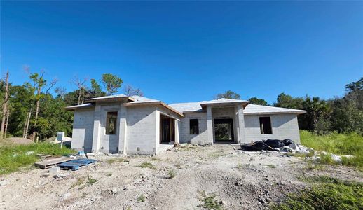 New construction Single-Family house 133 Hunting Club Ave, Clewiston, FL 33440 - image