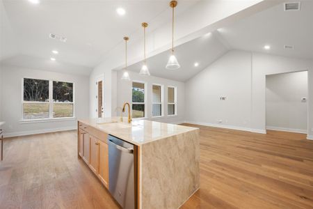 New construction Single-Family house 17225 Alta Madera Ln, Pflugerville, TX 78660 plan Palmer - image 13