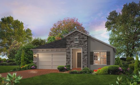 Lake Jovita by ICI Homes in Dade City - photo 22 22