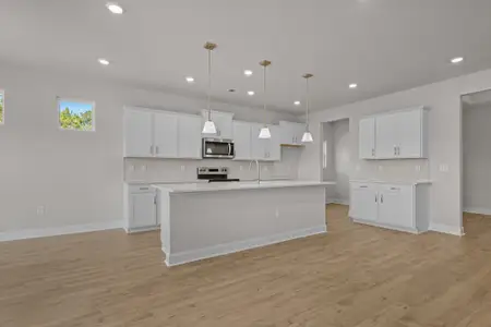 New construction Single-Family house 153 Furnies Pl, Loris, SC 29569 plan Oceana - image