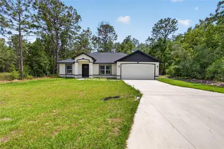 New construction Single-Family house 12 Guava Terrace Radl, Ocklawaha, FL 32179 - image