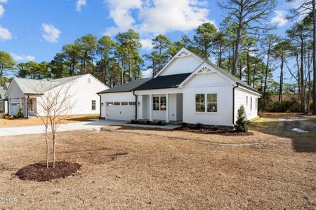 New construction Single-Family house 1214 Petite Terre Ct, New Bern, NC 28560 - image