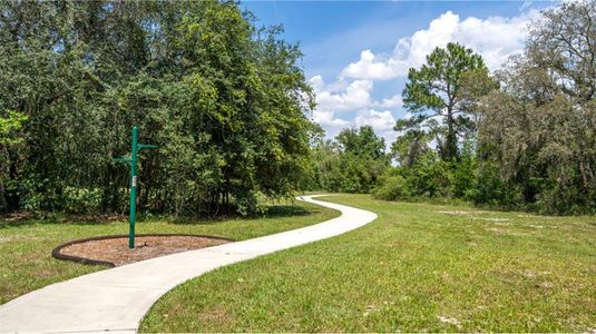 New construction Single-Family house 4735 Golden Knight Blvd, Kissimmee, FL 34746 Dover- photo 13 13