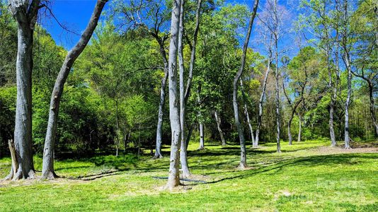 Large partially shaded lot