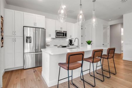 New construction Condo house 600 3Rd Ave S, Unit 205, St. Petersburg, FL 33701 - image 18