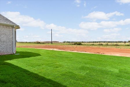 New construction Single-Family house 1000 Brock Hts, Brock, TX 76087 plan The Wellington II - image 4