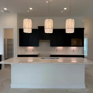 New construction Single-Family house 2411 Garden Arbor Ln, Tomball, TX 77375 - image