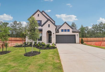 New construction Single-Family house 26018 Peacetree Ln, Montgomery, TX 77316 plan 4069 Elevation D - image