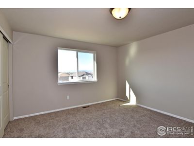 New construction Single-Family house 406 Aurelia Dr, Windsor, CO 80550 null- photo 29 29