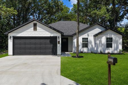 New construction Single-Family house 134 Sierra Madre St, Payne Springs, TX 75156 - image