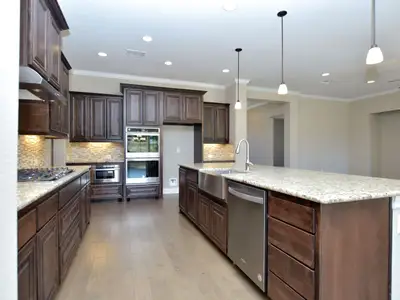 New construction Single-Family house 209 Bold Sundown, Liberty Hill, TX 78642 plan Catalina - image 8