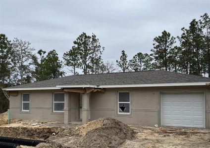 New construction Single-Family house 24259 Nw Mallard Ave, Dunnellon, FL 34431 null- photo 0