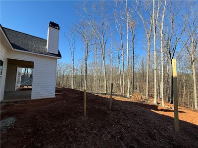 New construction Single-Family house 91 Lenten Rose Ln, Pendergrass, GA 30567 - image